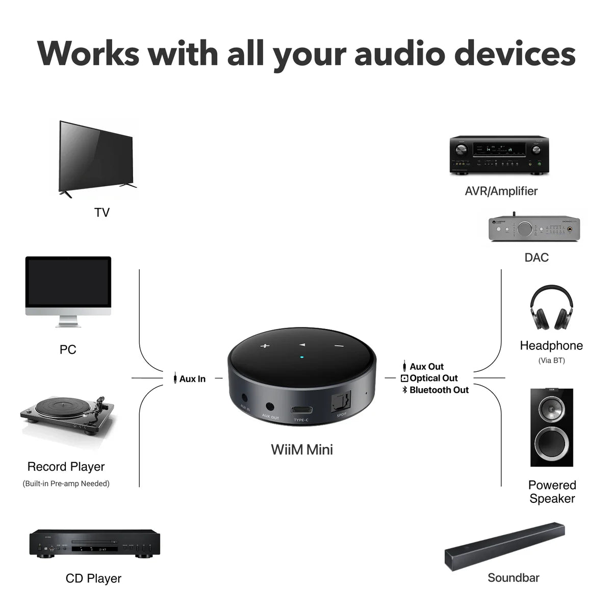 WiiM Mini