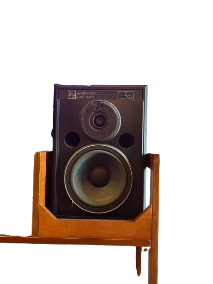 Sentry 100A