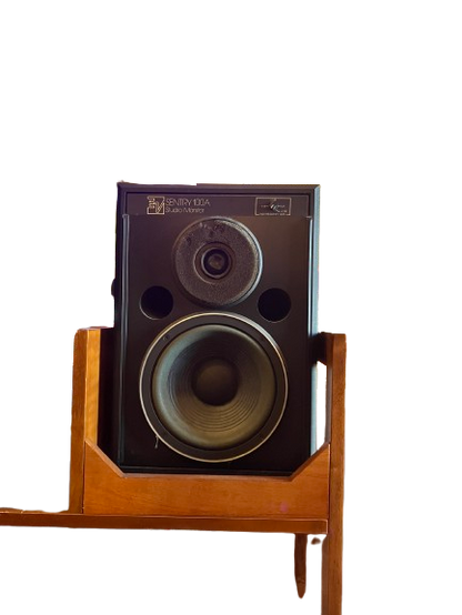 Sentry 100A