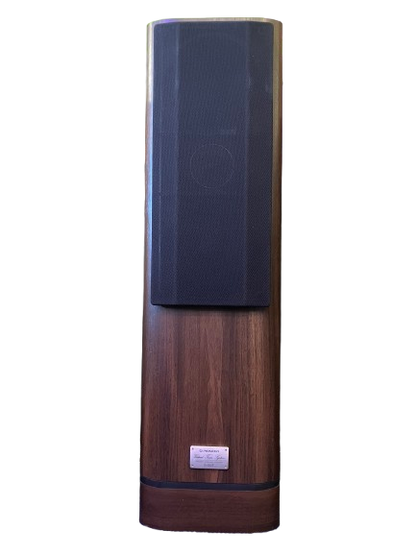 Pioneer S-99T