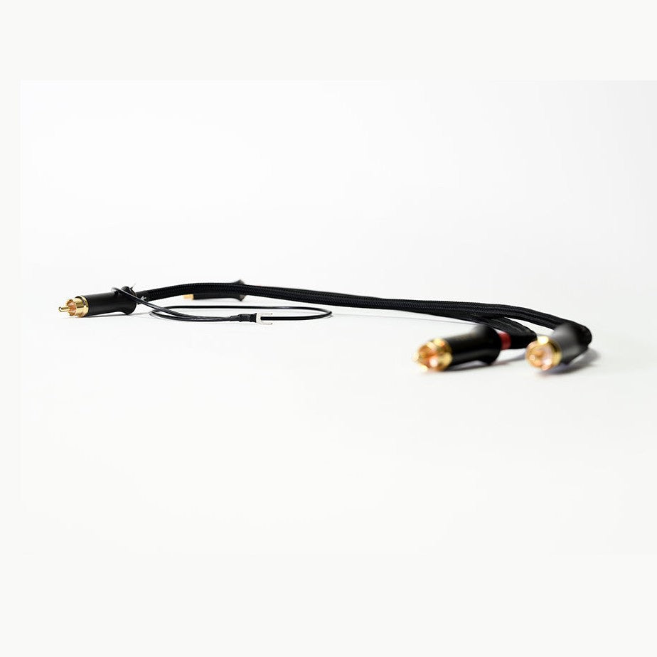 Advance Paris Link RCA Interconnect