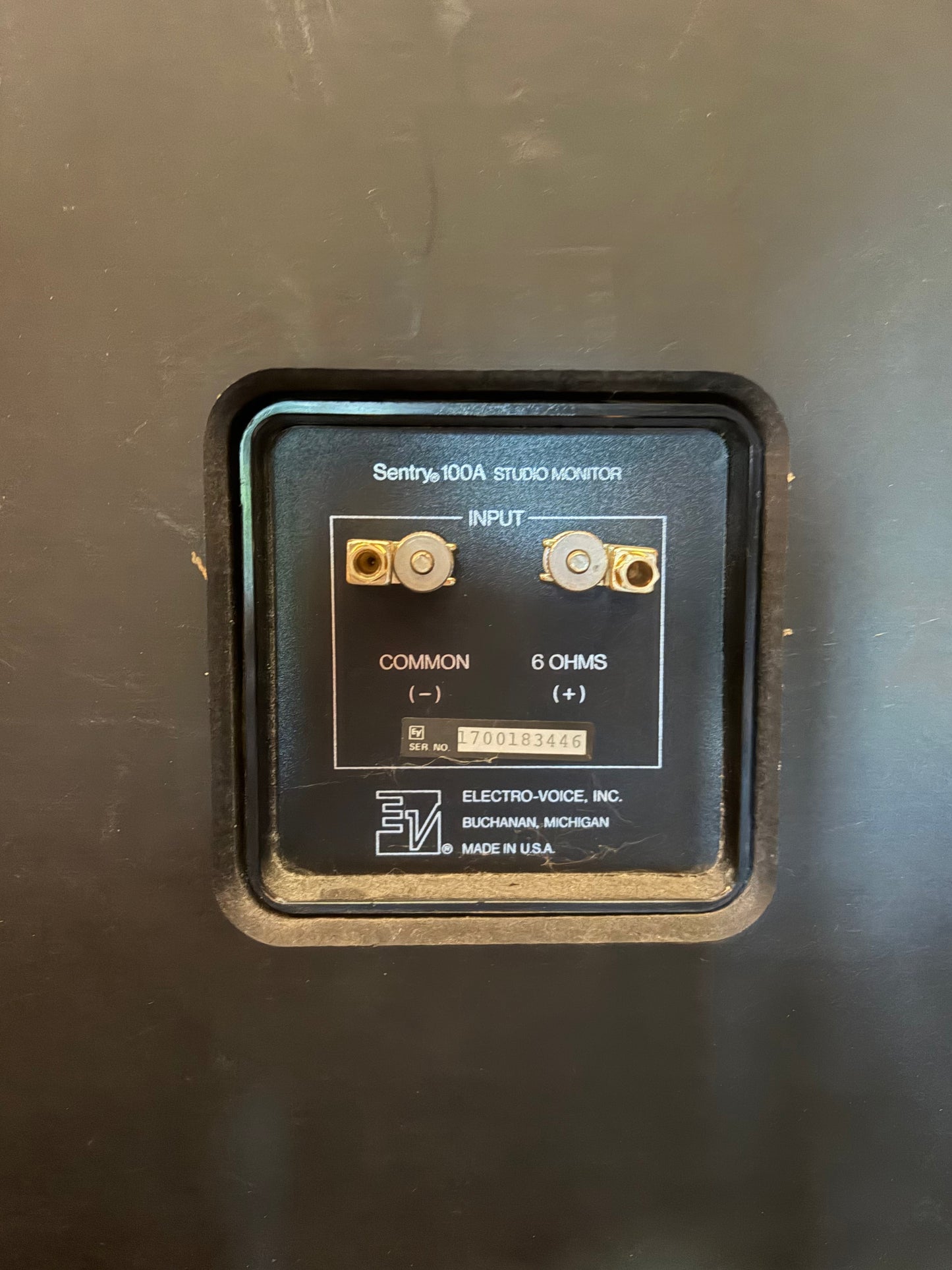 Sentry 100A