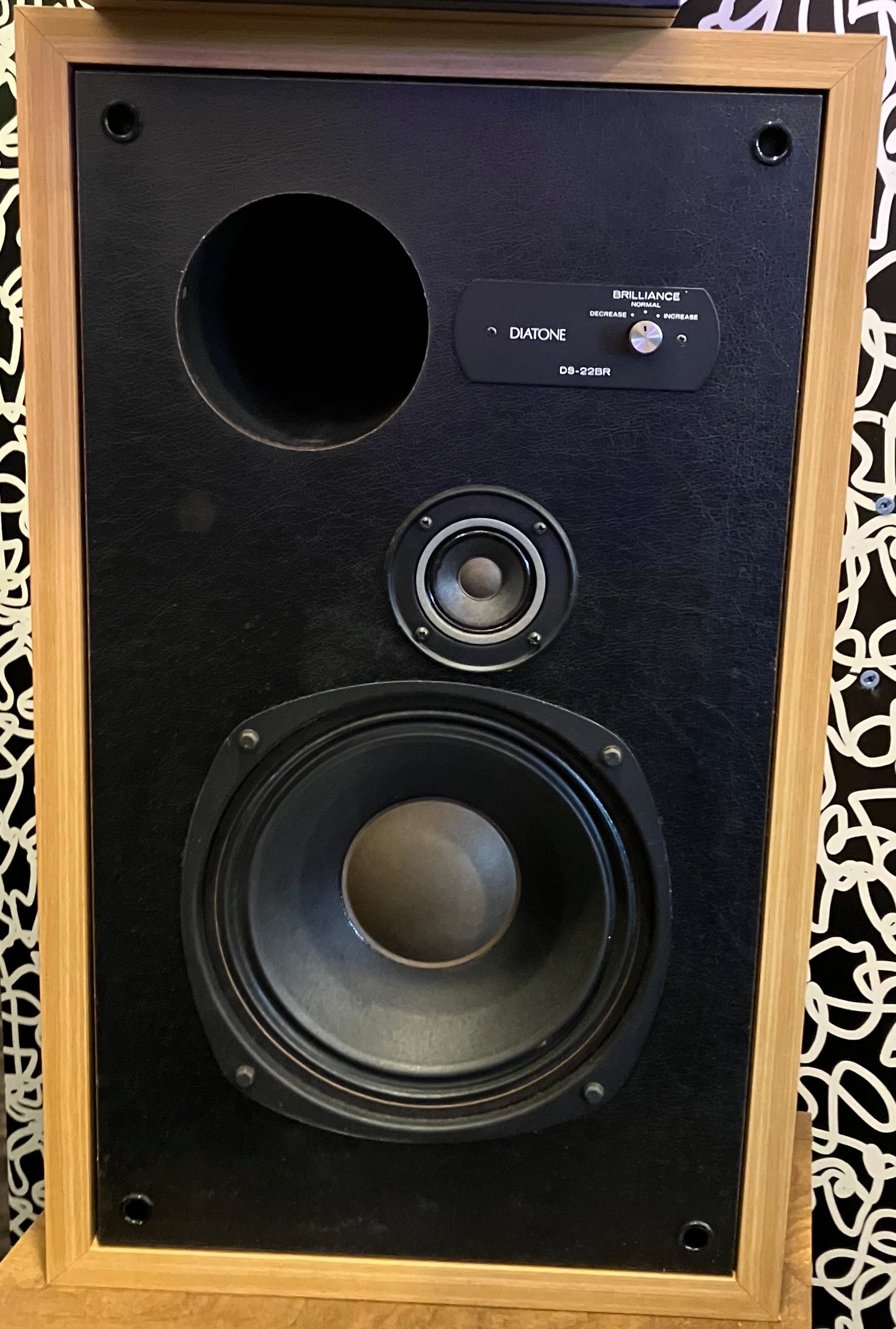 Diatone DS-22BR