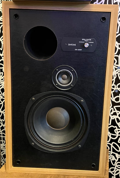 Diatone DS-22BR