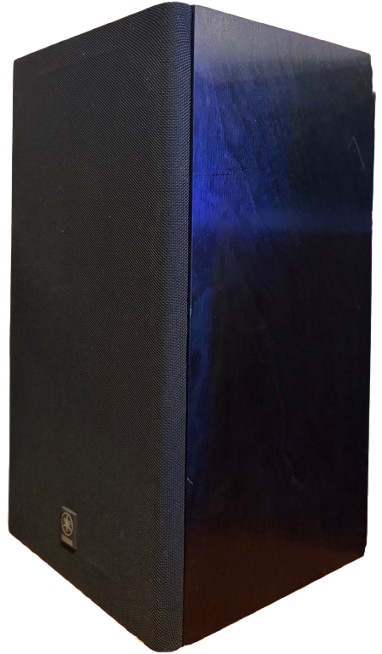 Yamaha NS-10M