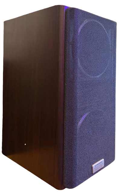 Pioneer S-11 Twin X