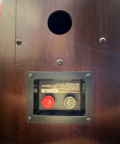 Pioneer S-11 Twin X