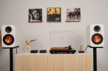 Fosi Audio Luna3 - Turntable