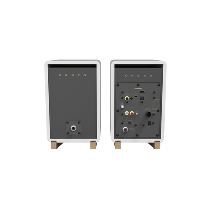 Onkyo GX-30ARC powered monitor in White, rear panel showing input connections