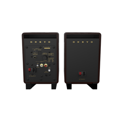 Onkyo GX-10DB 80th Anniversary powered monitor in Bordeaux walnut, rear panel with input connections