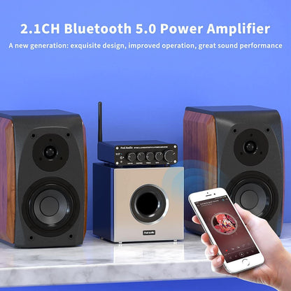 Fosi Audio BT30D PRO