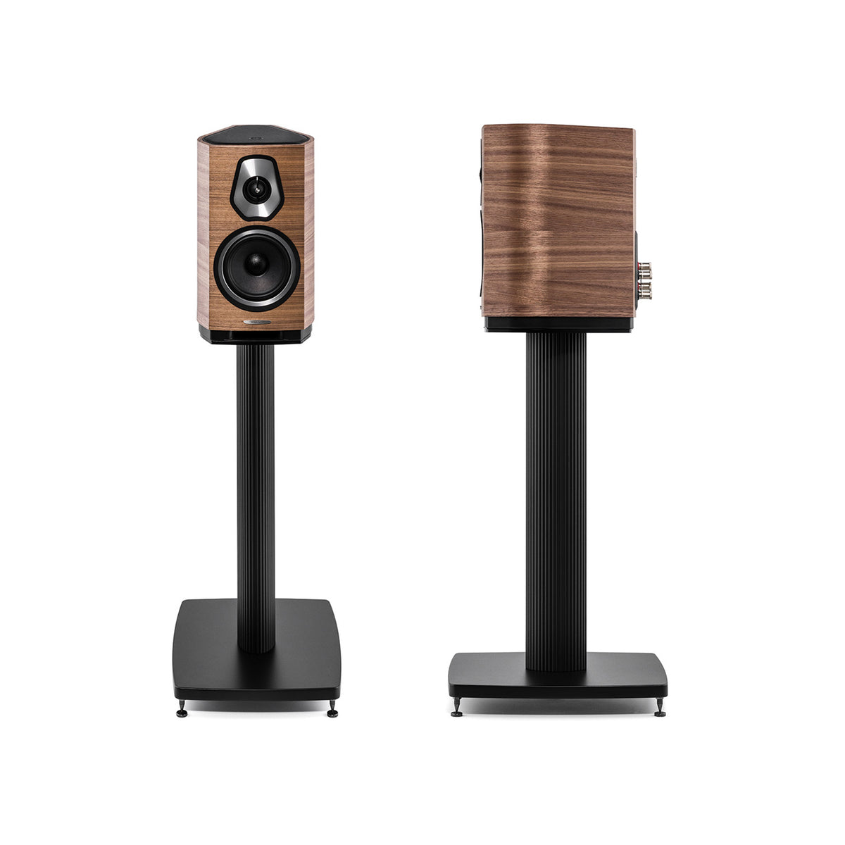 Sonus faber Sonetto I in Walnut