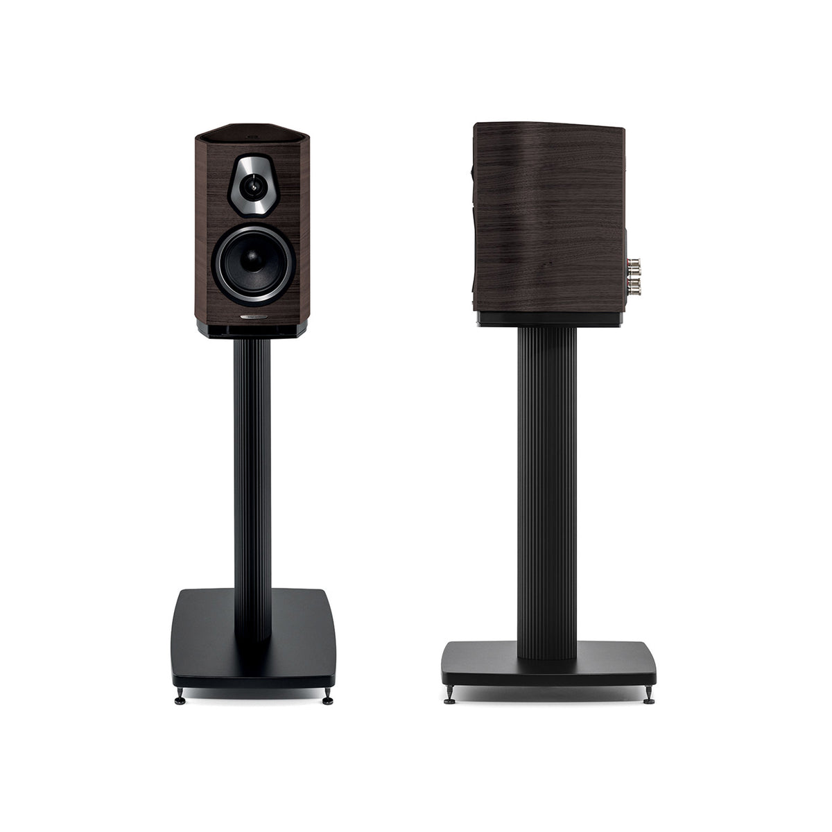 Sonus faber Sonetto I in Wenge