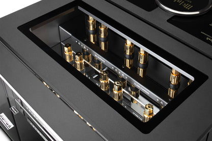 McIntosh MC2.1KW Monoblock Power Amplifier (Each), detail view