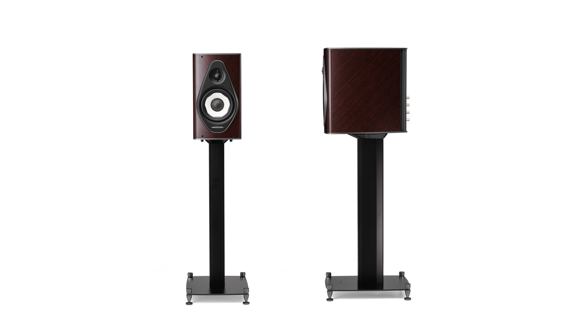 Sonus faber Olympica I in Wenge