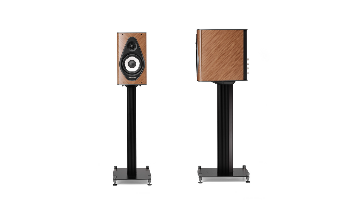 Sonus faber Olympica I in Walnut
