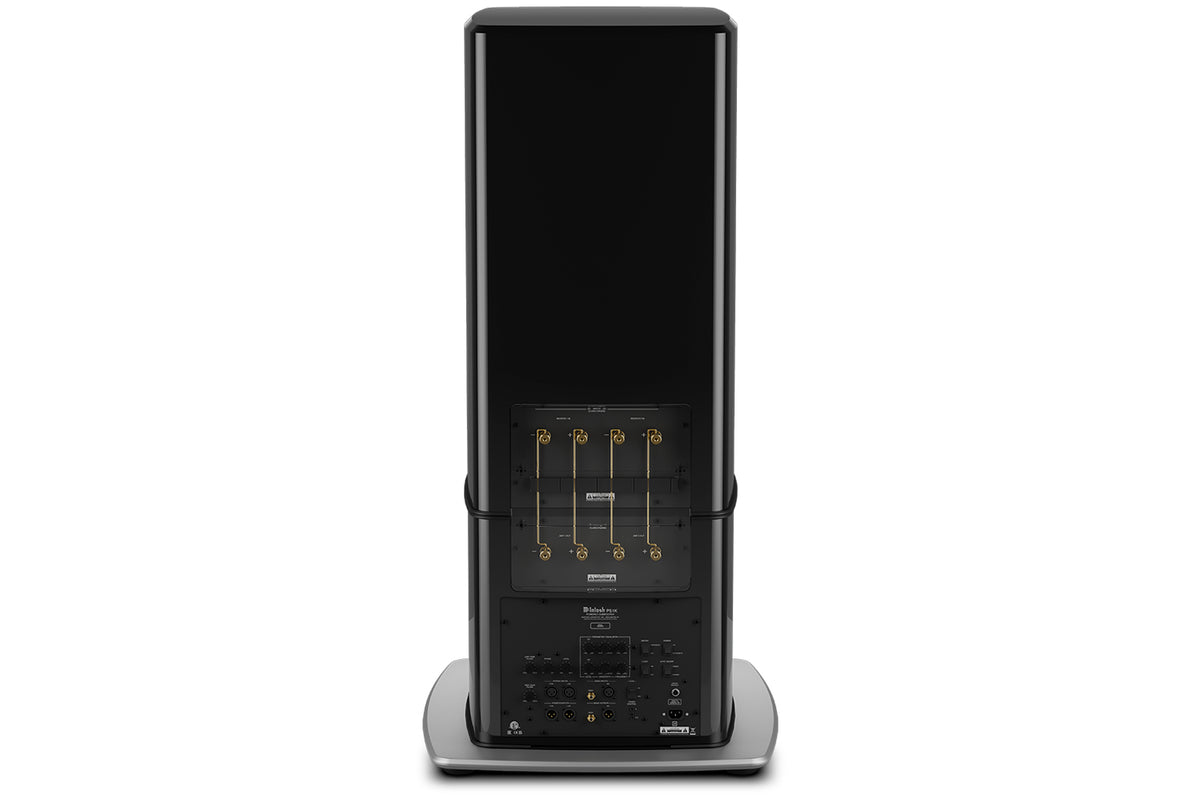 McIntosh PS1K Powered Subwoofer (Each), rear view
