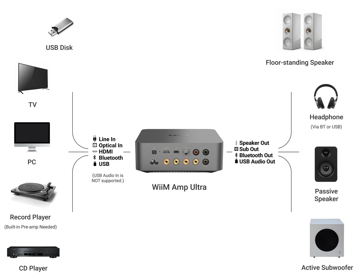 WiiM Amp Ultra rear panel with speaker binding posts and connectivity