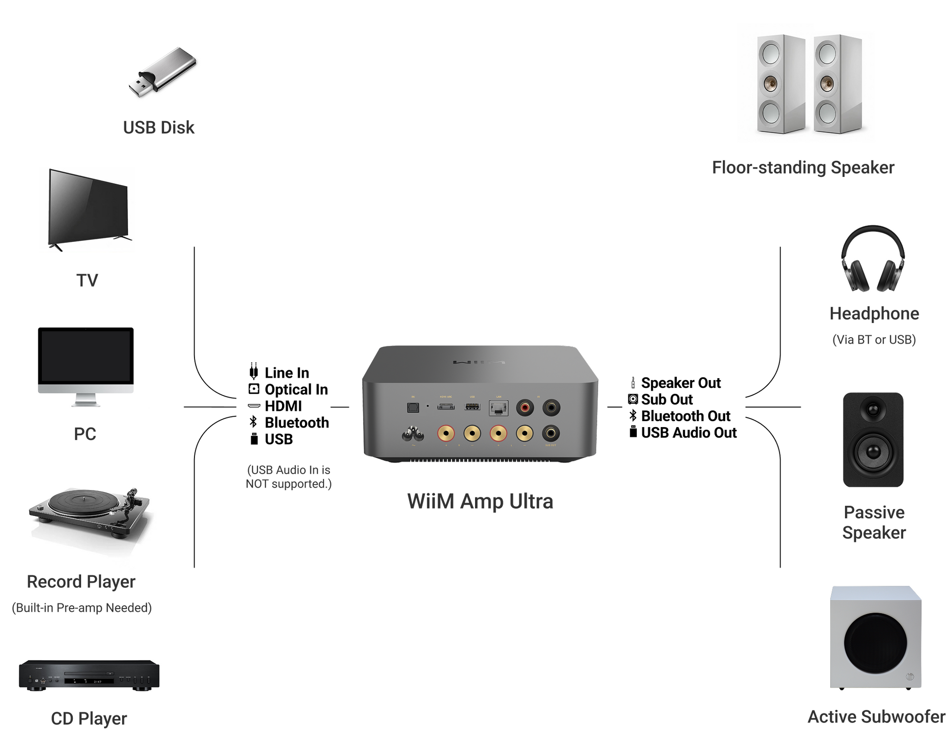 WiiM Amp Ultra rear panel with speaker binding posts and connectivity